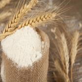 Wheat Starch