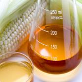 High Fructose Corn Syrup